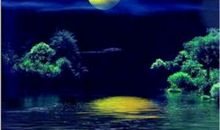 那个月光如水的夜晚令我感动