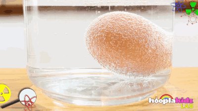 一个有趣的实验