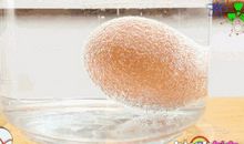 一个有趣的实验