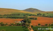 有一种痛，叫做坚强