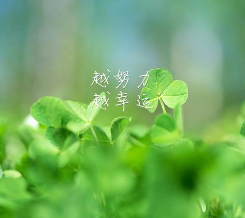 最满足的是什么