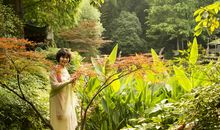 我爱如诗如画的四季