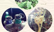 时过境迁心梦不变