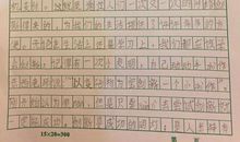 介绍一种事物优秀作文450字