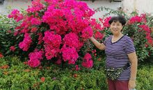 这个难忘的春节