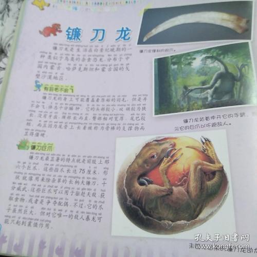 勇敢的小鸡写一段