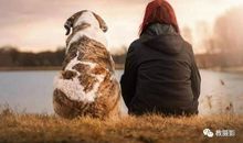 令我深思的画面