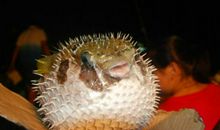 那难以忘怀的细节