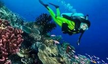 美丽的抚顺海洋馆