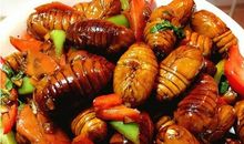 咬破害怕的蚕茧