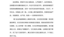 菜市场场面描写