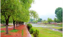 湿地公园和沙溪古镇