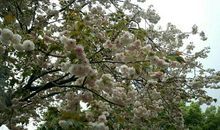 春季研学收获多