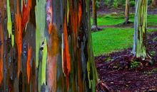 我的青春里有生命的色彩