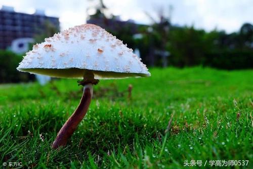 向往一块“橡皮擦”