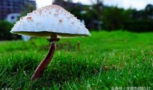 渴望得到一块“橡皮”