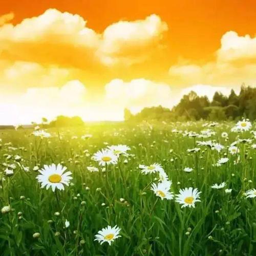 我在冬天寻找阳光
