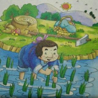 连根拔起