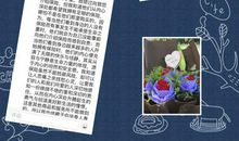 选择让生活更美好