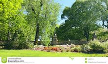 春天的生态公园