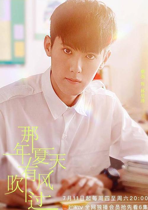 那年的仲夏