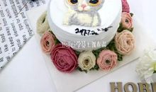 我家的小猫“奶油”