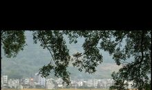 假如记忆可以选择