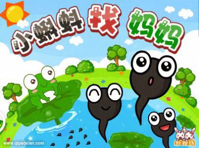 我正在寻找田野上的阳光