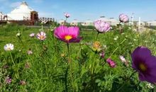 唱给自己的赞歌