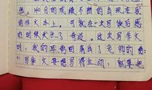 得奖的感觉真好