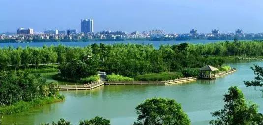 秋天的瑶湖公园