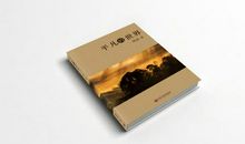 都是因为喜欢这本书