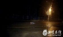 我在雨夜里寻找阳光