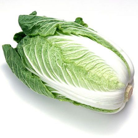 白菜