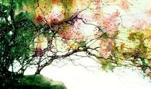 那一处别样的风景