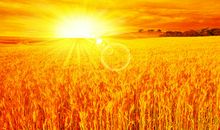 我在雨后寻找阳光