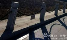 掌心里的阳光读后感