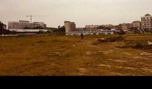 观察身边的事物