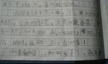 四年级观察绿豆的作文