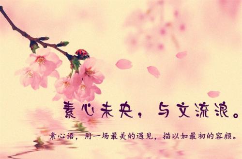 我与你的相遇