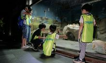 夜探野生动物园