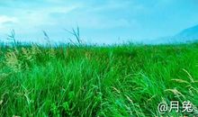 我发现乡村之美