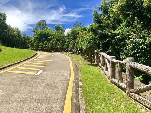 “六日”走绿色道路