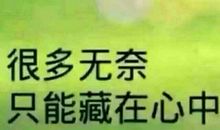 藏在心中的滋味