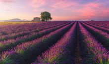 家乡美景令我沉醉