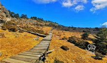 一次精彩的挑战