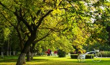 我的秋天里等你