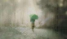 我在雨天里寻找阳光