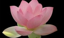 相遇是那样的美丽