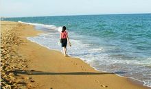 梦想在海的尽头